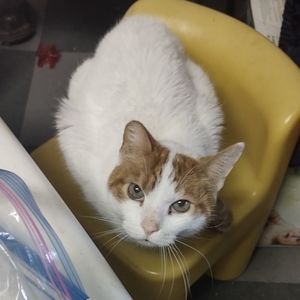 Meet your Posher, Max